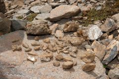 Feldbach_015